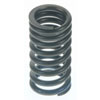 Valve Spring - image 1
