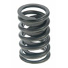 Valve Spring - image 1