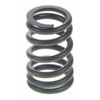 Valve Spring - image 1