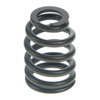 Valve Spring - image 1