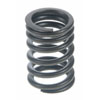 Valve Spring - image 1