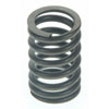 Valve Spring - image 1