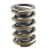 Valve Spring - image 1