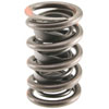 Valve Spring - image 1