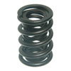 Valve Spring - image 1