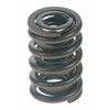 Valve Spring - image 1
