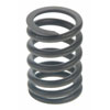 Valve Spring - image 1