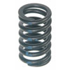 Valve Spring - image 1