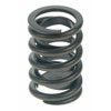 Valve Spring - image 1