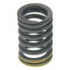 Valve Spring - image 1