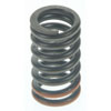 Valve Spring - image 1