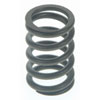 Valve Spring - image 1
