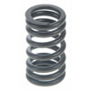 Valve Spring - image 1