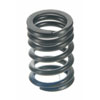 Valve Spring - image 1