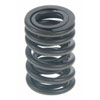 Valve Spring - image 1