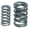 Valve Spring - image 1