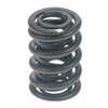 Valve Spring - image 1