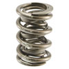 Valve Spring - image 1