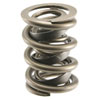 Valve Spring - image 1