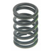 Valve Spring - image 1