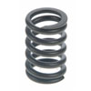 Valve Spring - image 1