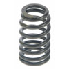 Valve Spring - image 1