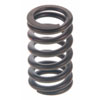 Valve Spring - image 1