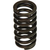 Valve Spring - image 2