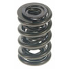 Valve Spring - image 1