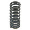 Valve Spring - image 1