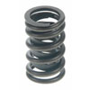 Valve Spring - image 1
