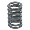 Valve Spring - image 1