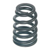 Valve Spring - image 1