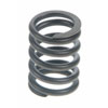 Valve Spring - image 1