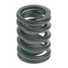 Valve Spring - image 1