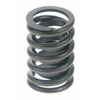 VALVE SPRING - image 1