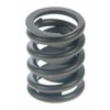 Valve Spring - image 1