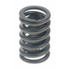 Valve Spring - image 1