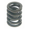 Valve Spring - image 1