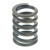 Valve Spring - image 1