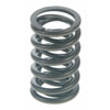 Valve Spring - image 1
