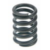 Valve Spring - image 1