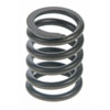 Valve Spring - image 1