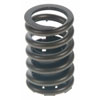 Valve Spring - image 1
