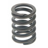 Valve Spring - image 1