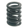Valve Spring - image 1