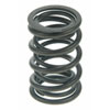 Valve Spring - image 1