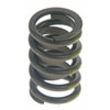 Valve Spring - image 1