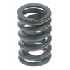 Valve Spring - image 1