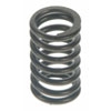 Valve Spring - image 1